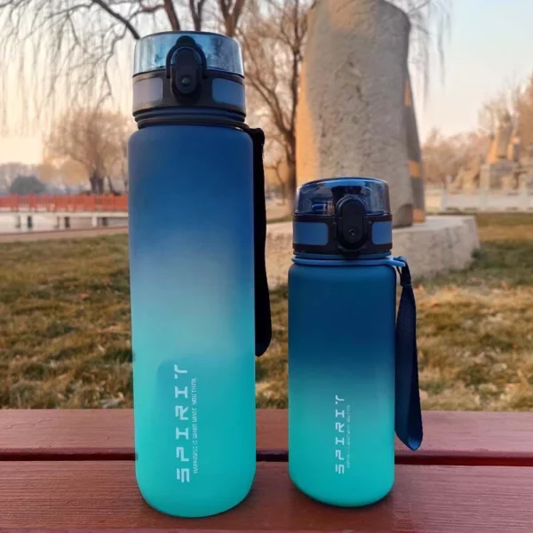 my-11134207-7qula-lf5latfdw66s8a.webp 1L Gradient Fitness Sports Time Marker